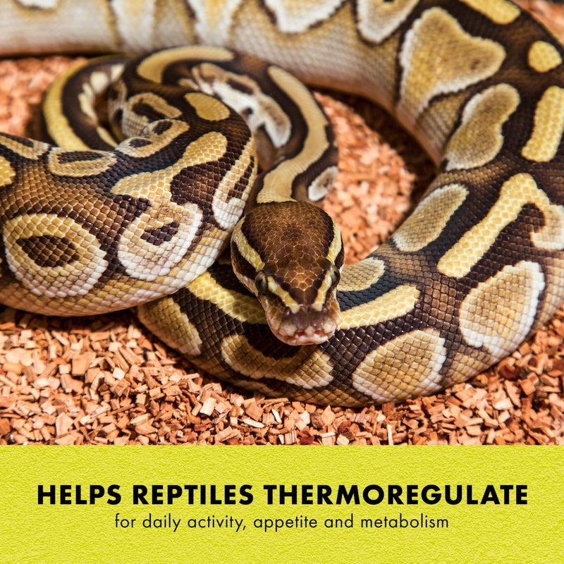 Zilla Heat Mat, Terrarium Heater for Reptiles, Snakes (Ball Pythons, Corn Snakes), Leopard Geckos, Tortoises, Amphibians and Arachnids, Small, Fits 10-20 Gallon, 8 Watt - Image 4